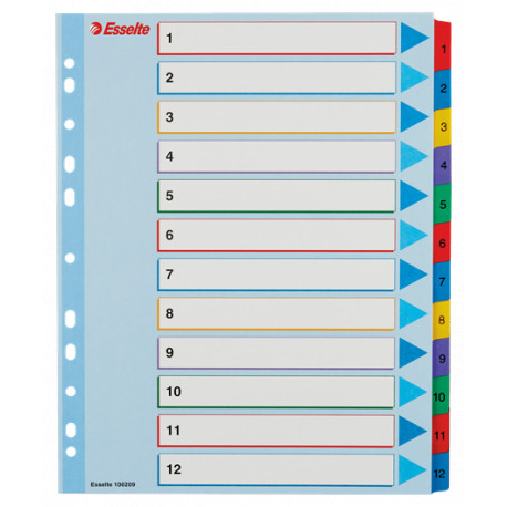 PRZEKŁADKI KARTONOWE MYLAR A4 100209 12 KART ESSELTE