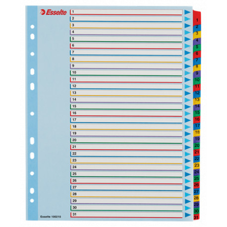 PRZEKŁADKI KARTONOWE MYLAR MAXI A4 100210 31 KART ESSELTE