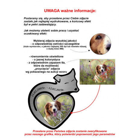 Tabliczka upamiętniająca dla psa shnaucer nadruk uv