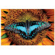 Puzzle 250 Colourful Nature 2 Butterfly INTERDRUK