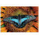 Puzzle 250 Colourful Nature 2 Butterfly INTERDRUK