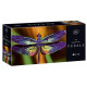 Puzzle 250 Colourful Nature 3 Dragonfly INTERDRUK