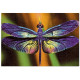 Puzzle 250 Colourful Nature 3 Dragonfly INTERDRUK