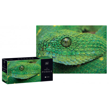 Puzzle 250 Colourful Nature 4 Snake INTERDRUK