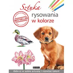 Sztuka rysowania w kolorze