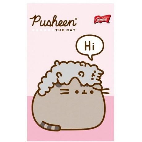 Notatnik w kratkę PUSHEEN A6 50K