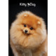 Brulion TOP 2000 KITTY AND DOG SZY A5 96K 70G K5X5M