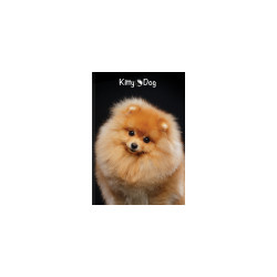 BRULION TOP 2000 KITTY AND DOG SZY A5 96K 70G K5X5M