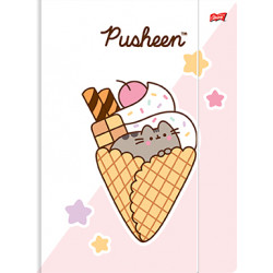 TECZKA Z GUMKĄ A4 300G/M2 PUSHEEN