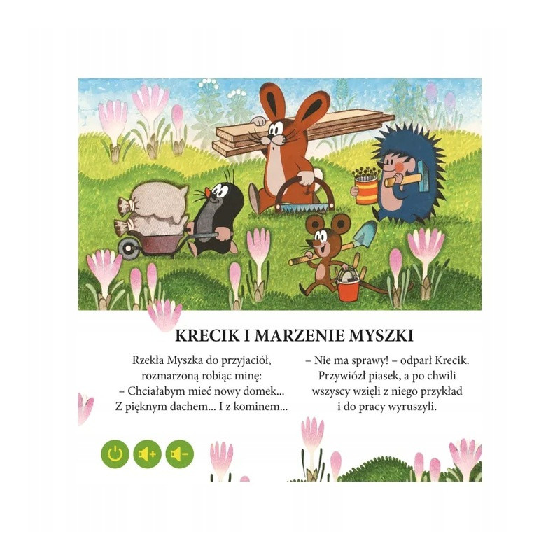 KSIĄŻKA MINI PRZYGODY ALBIK