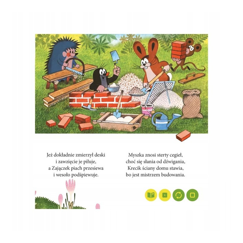 KSIĄŻKA MINI PRZYGODY ALBIK