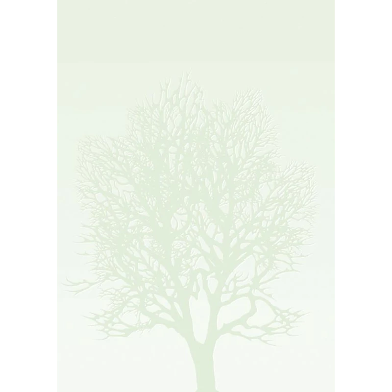 DYPLOM DRZEWO 100G Argo