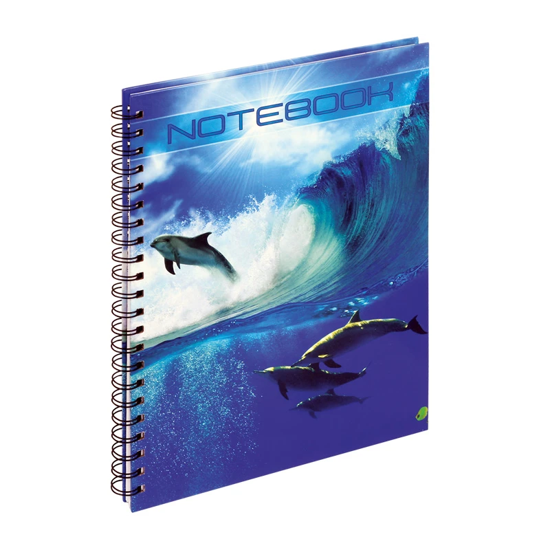 KOŁOBRULION A4 100K 70g 2-100