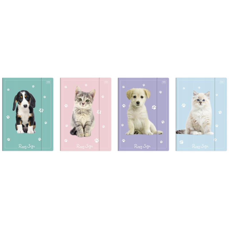 TECZKA Z GUMKĄ A4+LUX PUPPY SIGN