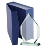 TROFEUM SZKLANE G018 W ETUI
