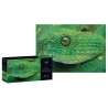 Puzzle SNAKE z serii COLOUFUL NATURE INTERDRUK