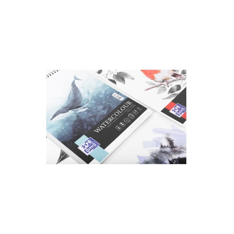 Blok artystyczny spirala Oxford akwarela A4/10K 300G 