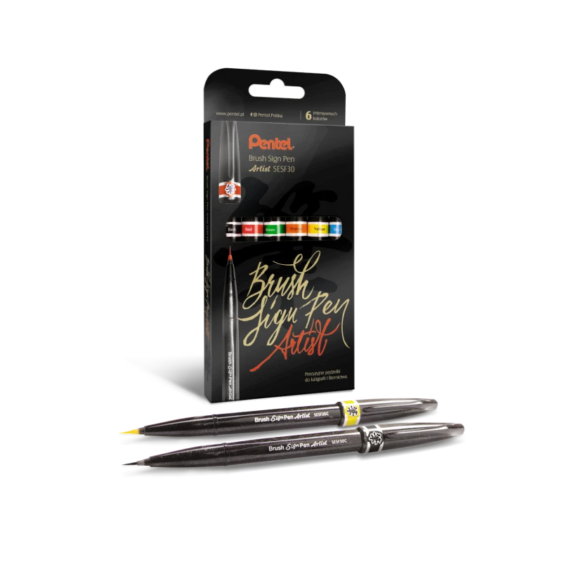 PISAKI BRUSH PEN  SIGN ARTIST KPL 6SZT SESF30 PENTEL