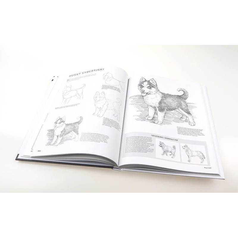 SZTUKA RYSOWANIA PUBLICAT