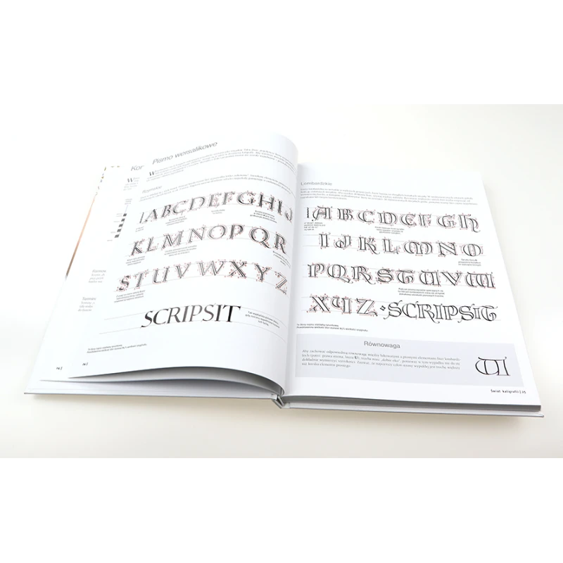 SZTUKA RYSOWANIA  KALIGRAFIA PUBLICAT