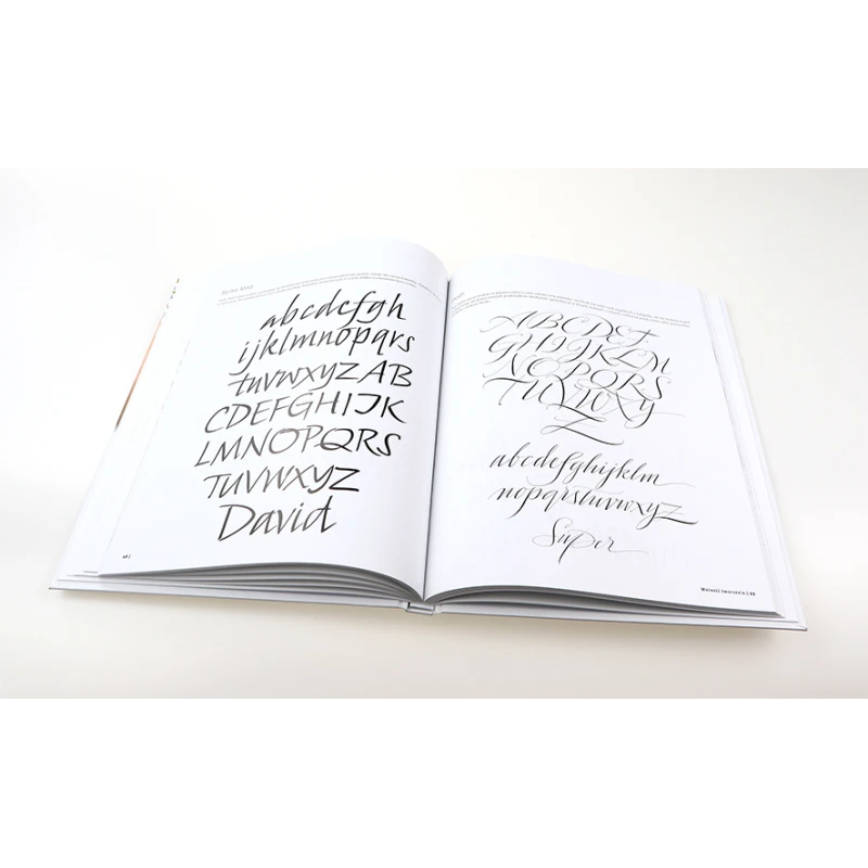 SZTUKA RYSOWANIA  KALIGRAFIA PUBLICAT