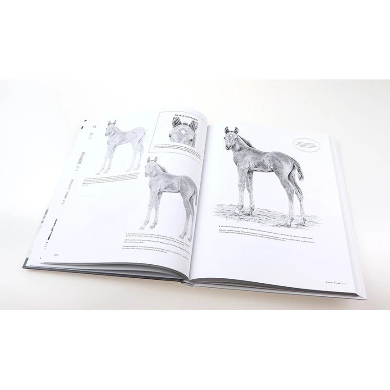 SZTUKA RYSOWANIA NATURA PUBLICAT