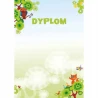 DYPLOM BAJKA A4/25SZT/170G