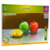 PASTELE OLEJNE CRICCO 36 KOL CR481K36