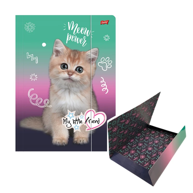 TECZKA Z GUMKĄ A4 300 g/m2 MY LITTLE FRIEND, KITTY PARTY mkmp