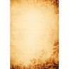 DYPLOM AMBER A4/25SZT./170G  ARGO GRATIS