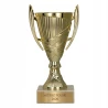 Puchar Plastikowy Złoty Trofeum TABLICZKA Z GRAWEREM GRATIS 13,5 cm