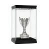 Puchar Plastikowy Srebrny Trofeum TABLICZKA Z GRAWEREM GRATIS 13,5 cm