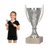 Puchar Plastikowy Srebrny Trofeum TABLICZKA Z GRAWEREM GRATIS 13,5 cm