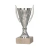 Puchar Plastikowy Srebrny Trofeum TABLICZKA Z GRAWEREM GRATIS 13,5 cm