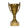 Puchar Plastikowy Brązowy Trofeum TABLICZKA Z GRAWEREM GRATIS 13,5 cm