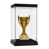 Puchar Plastikowy Brązowy Trofeum TABLICZKA Z GRAWEREM GRATIS 13,5 cm
