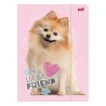 TECZKA Z GUMKĄ A4 300 g/m2 MY LITTLE FRIEND, SWEET POMERANIAN