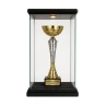 Puchar Metalowy Złoty Trofeum TABLICZKA Z GRAWEREM GRATIS 45,5 cm