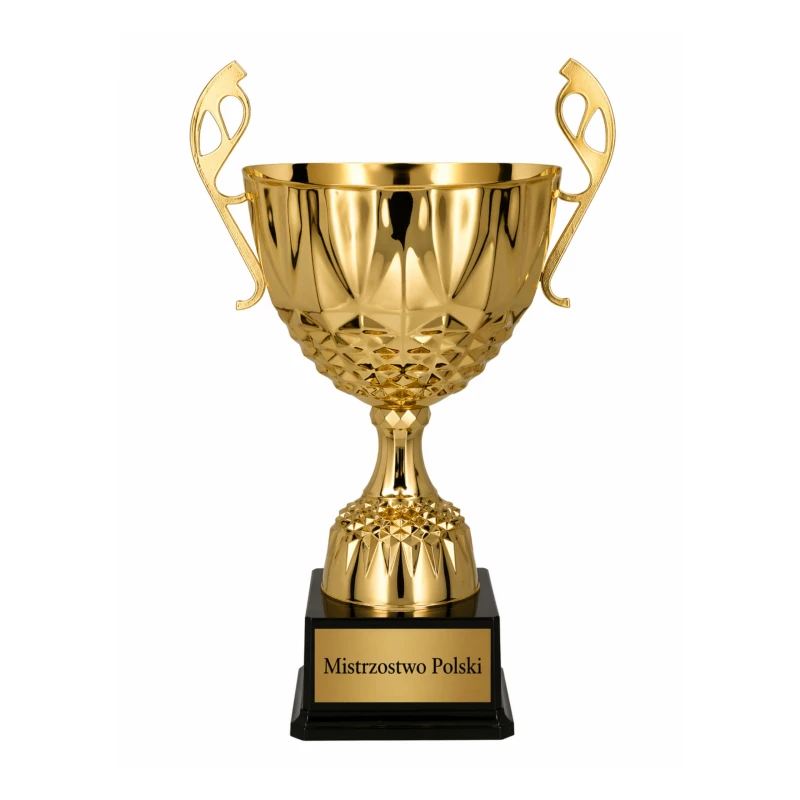 Puchar Metalowy Złoty Trofeum Uniwersalne I Miejsce TABLICZKA Z GRAWEREM GRATIS 25 cm