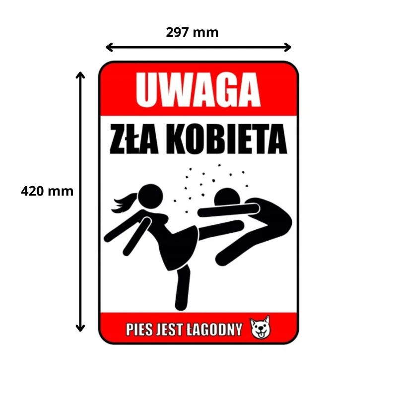 Tabliczka informacyjna UWAGA ZŁA KOBIETA PIES JEST ŁAGODNY A3 PCV