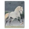 Zeszyt A5 32 kol3 70g UV Wild Horses