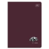 Zeszyt A5 16 kratka 70g UV It"s Simple
