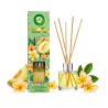 AIR WICK PATYCZKI ZAPACHOWE 40ML MELON I EGZOTYCZNA PLUMERIA