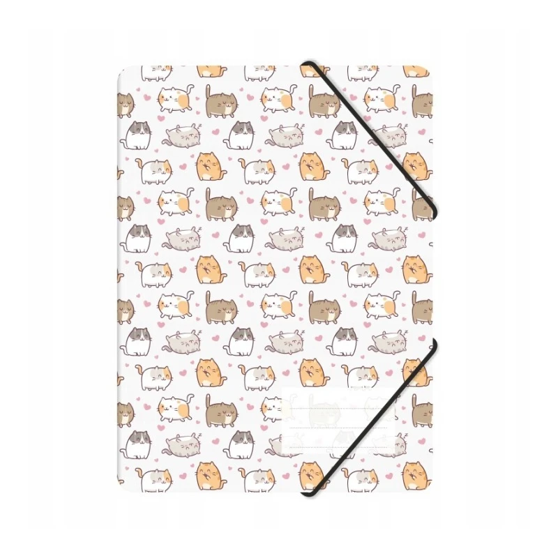 Teczka z gumką A4 PP kittens
TGN-A4-35]